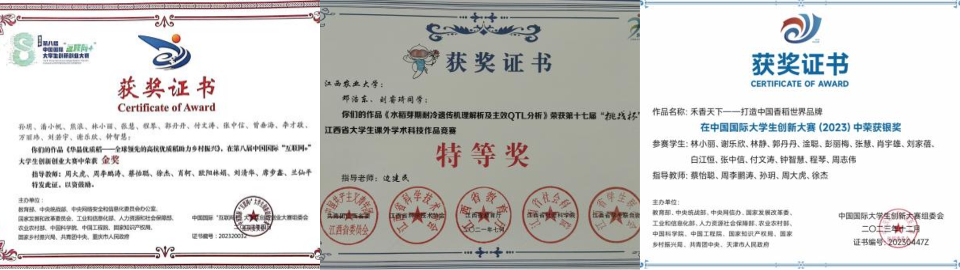 imageMerge2025-11-26 09:24:40 .png