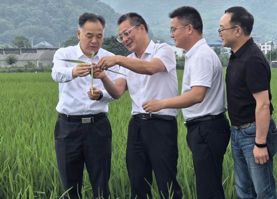 一些人站在草地上 AI 生成的内容可能不正确。